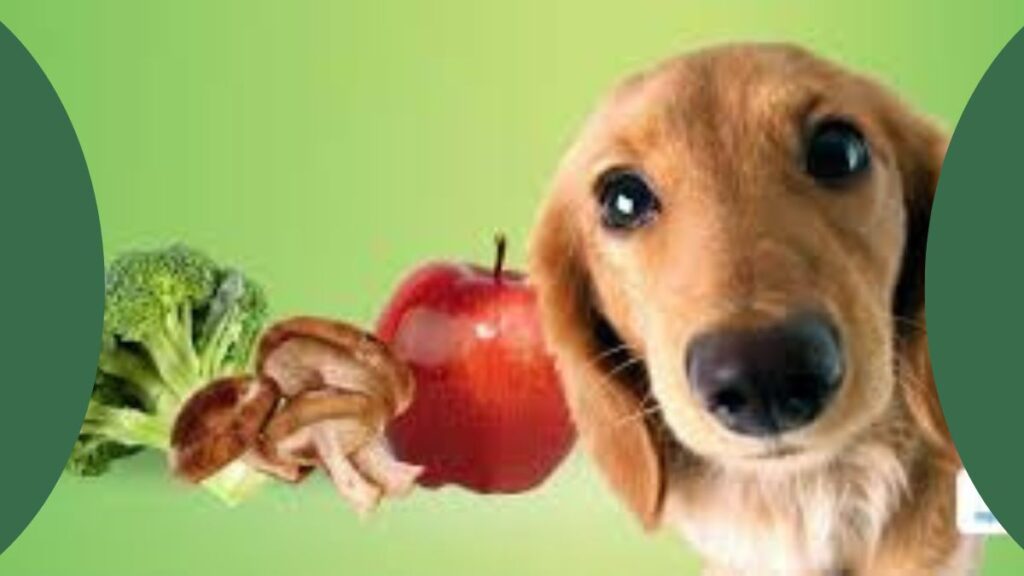 THE BEST VEGETABLES FOR YOUR DOGS DOG TIPS 2024